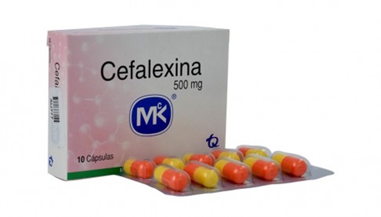 Para que serve Cefalexina Para que serve Cefalexina
