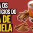 Cha de canela