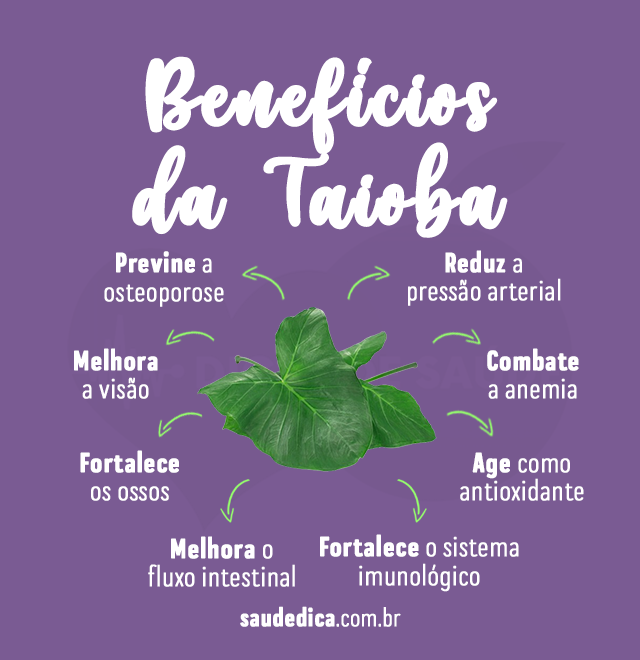 beneficios da taioba