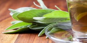 beneficios-do-cha-de-salvia