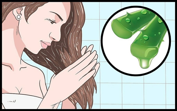 Como Usar Babosa no Cabelo Como Usar Babosa no Cabelo