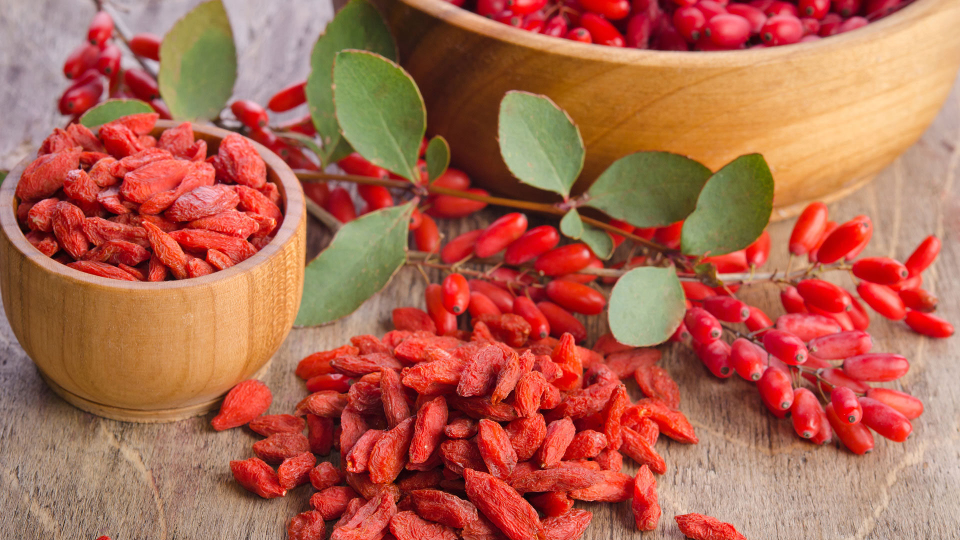 goji berry como tomar