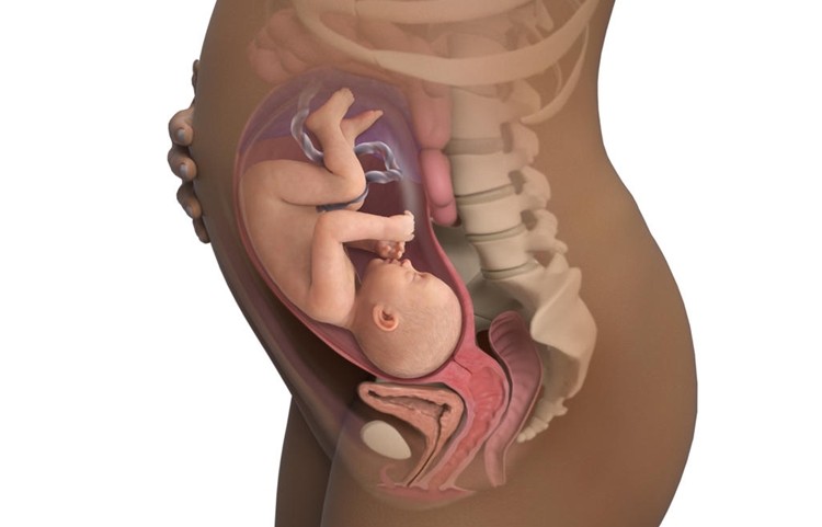 32 semana de gravidez sintomas