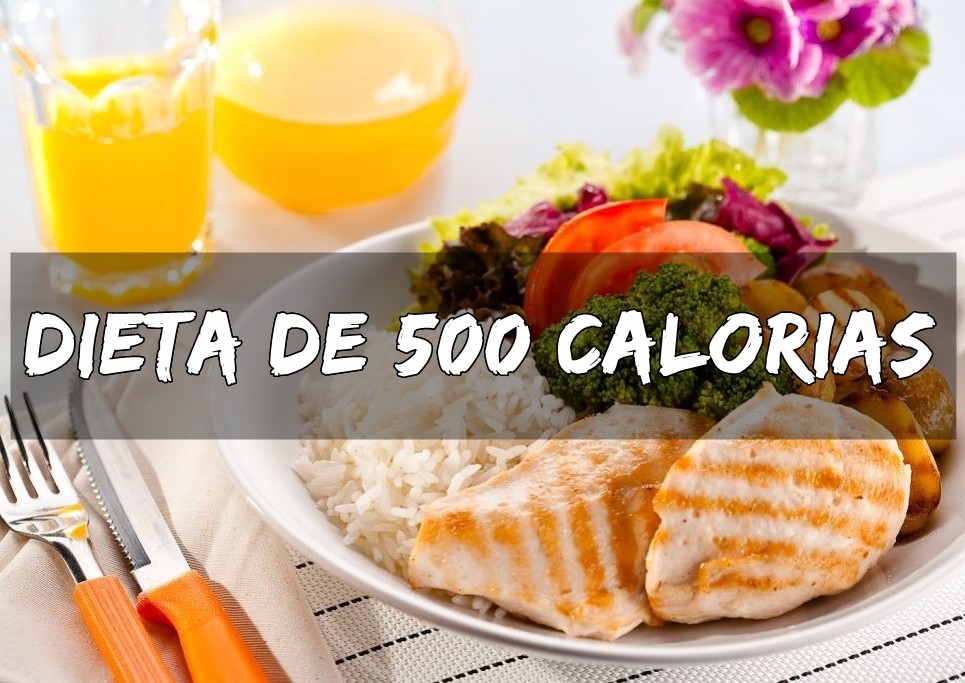 Dieta de 500 calorias: Como fazer? Cardápio, benefícios e receitas | Dicas  de Saúde