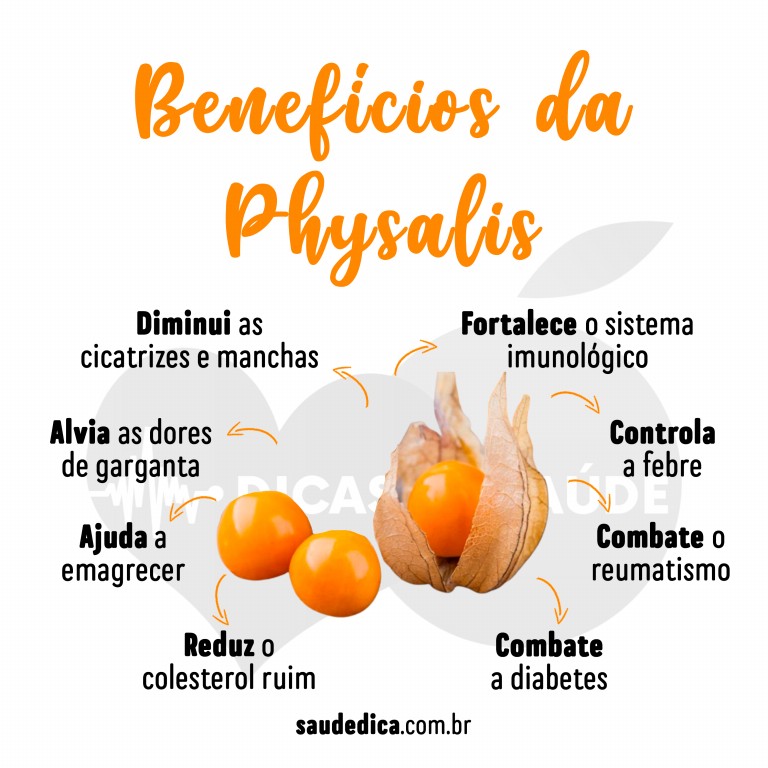 Benefícios da Physalis para saúde