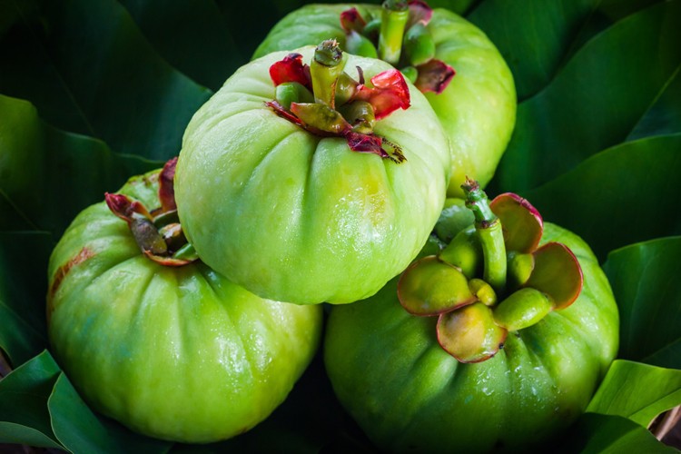 benefícios da garcinia cambogia