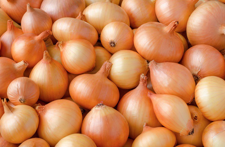 Benefícios da Dieta da Cebola Benefícios da Dieta da Cebola
