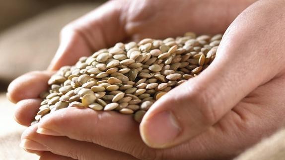Dieta da lentilha: o que é? como fazer, benefícios e cardápio