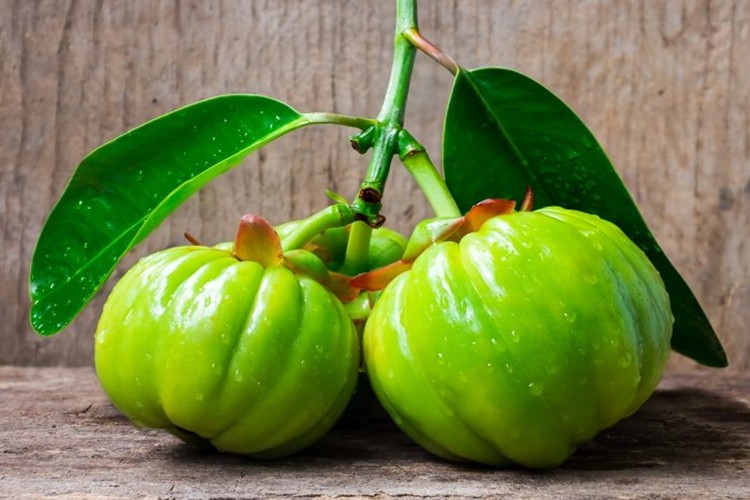 Benefícios da garcinia cambogia