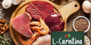 l carnitina