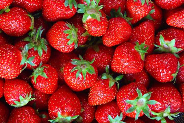 Beneficios da Dieta do Morango Beneficios da Dieta do Morango
