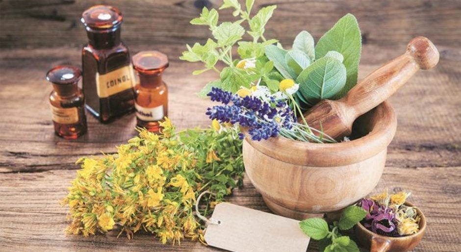 Erva Medicinal Erva Medicinal