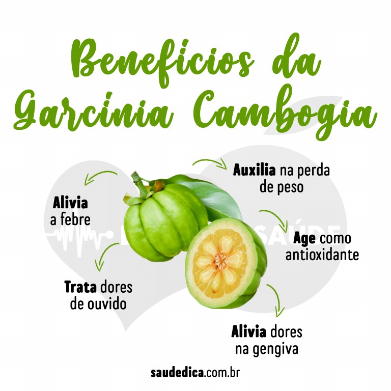 O que é garcínia cambogia?