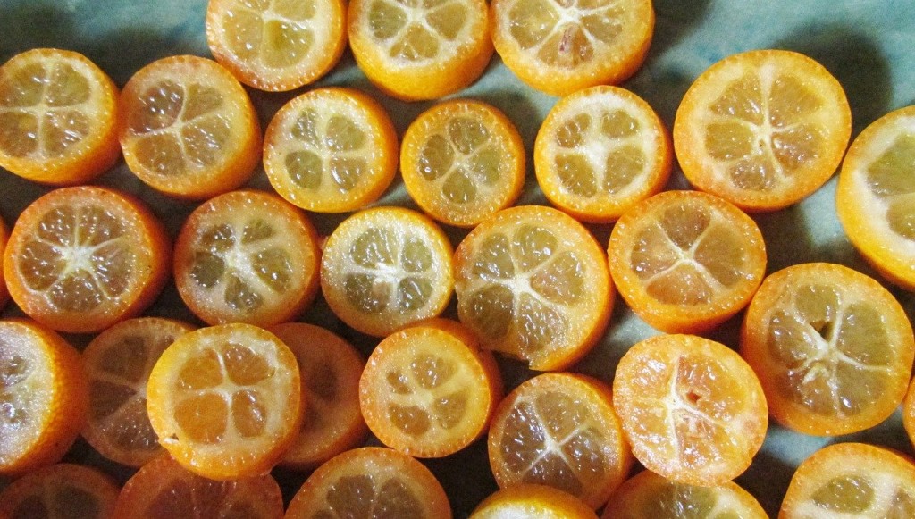 benefícios da laranja-kinkan