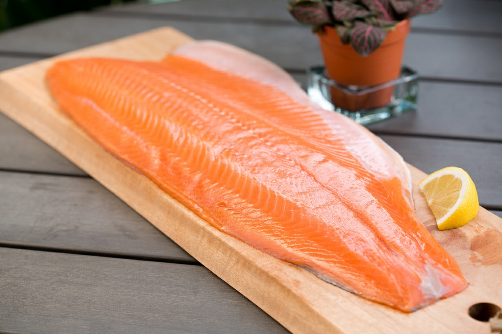 salmão benefício