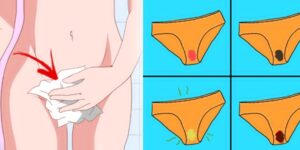 tipos de corrimento vaginal e o que eles dizem sobre sua saude