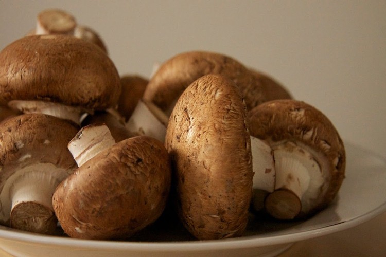 cogumelos-cremini