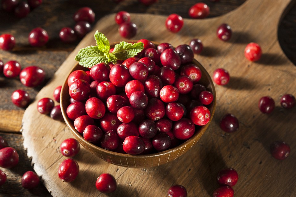 benefícios do cranberry