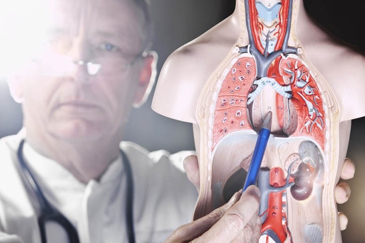 dicas caseiras para tratar o intestino preso dicas caseiras para tratar o intestino preso