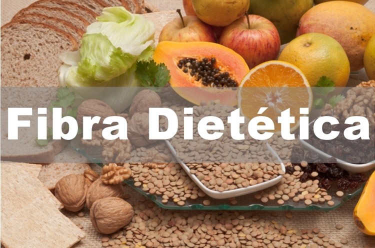 Fibra Dietética