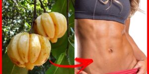 garcinia cambogia ajuda a emagrecer