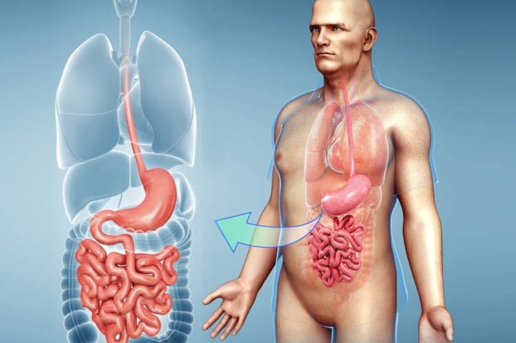 Dicas Caseiras Para Tratar o Intestino Preso