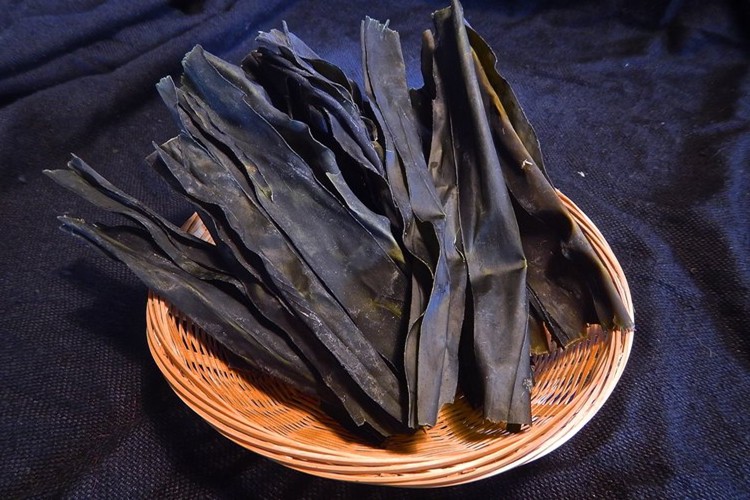 kombu