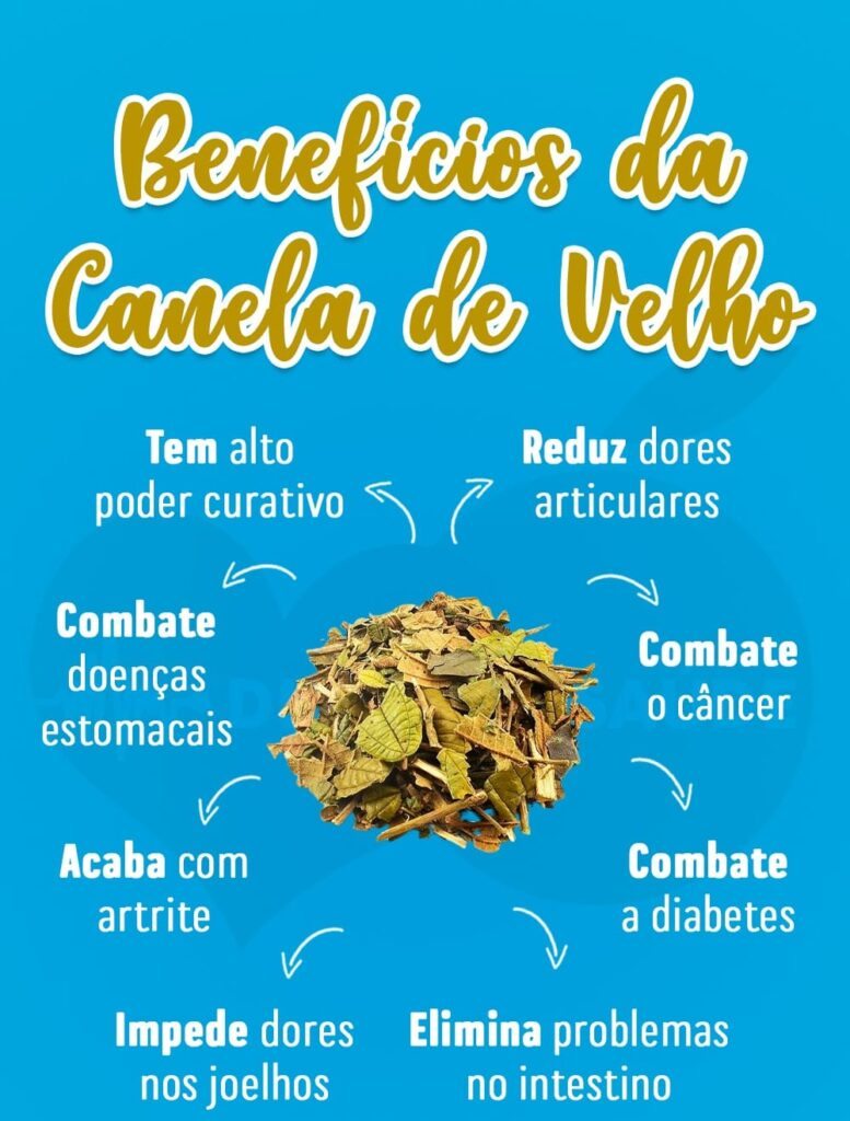 Beneficios da canela de velho