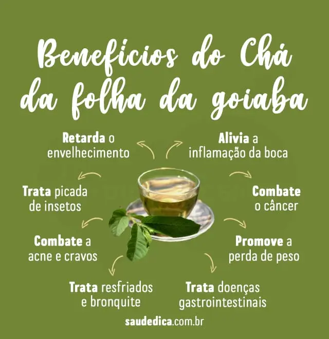 Benefícios do chá da folha de goiaba
