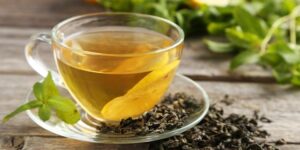 quais os benefícios do chá de oliveira?
