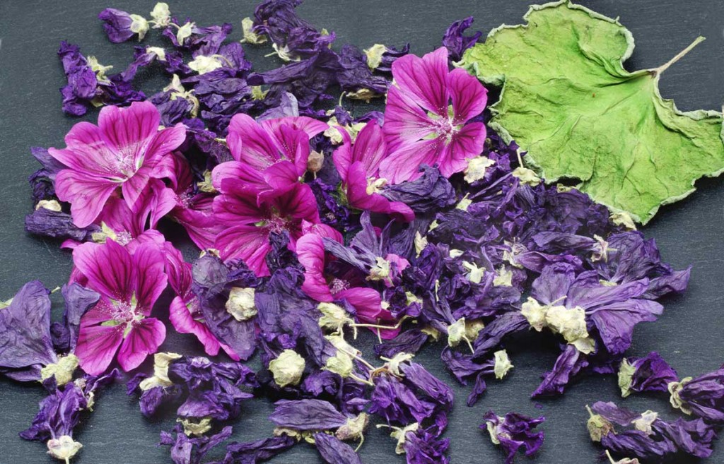 Chá de Malva Chá de Malva