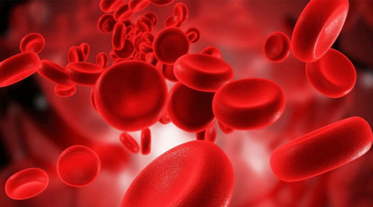 remédios caseiros para tratar a anemia