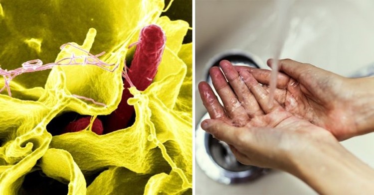 formas corretas de lavar as mãos para evitar doenças