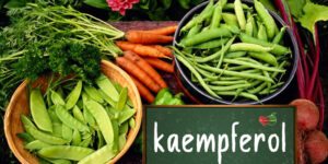 Kaempferol: o que é? para que serve, benefícios e como usar