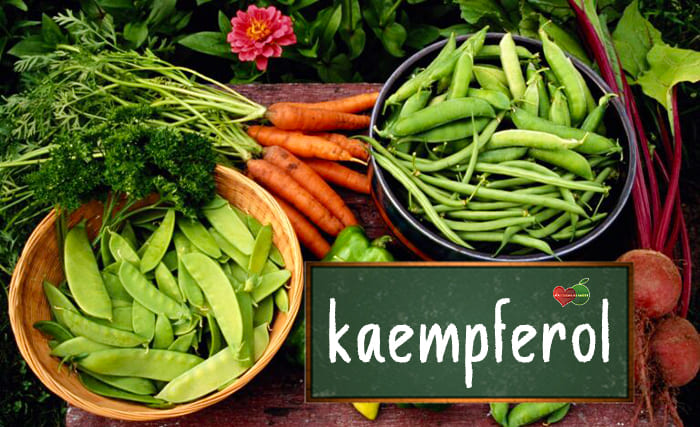 Kaempferol: o que é? para que serve, benefícios e como usar