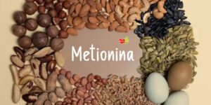Metionina