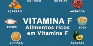 alimentos rico em Vitamina F