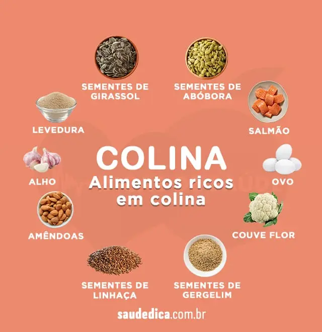 alimentos ricos em colina