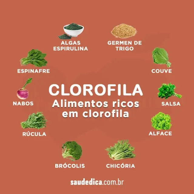 alimentos-ricos-em-clorofila