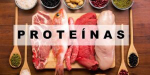 alimentos ricos em proteínas