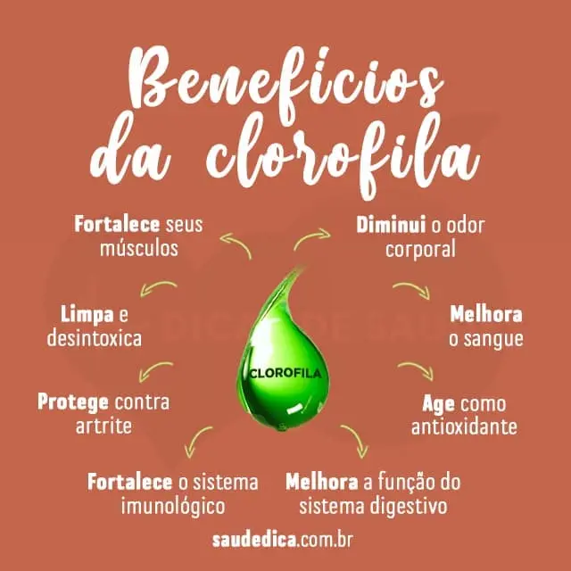 beneficios-da-clorofila