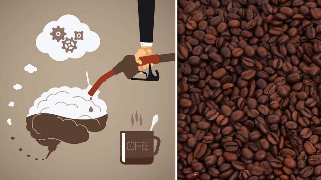 Cafeína: Alimentos, Benefícios, Para que Serve e Como Usar! Cafeína: Alimentos, Benefícios, Para que Serve e Como Usar!