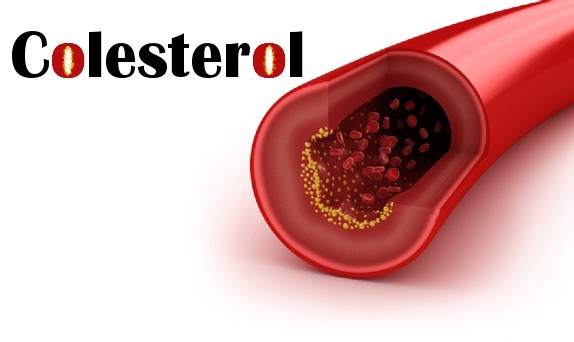 medicamentos naturais que ajudam no tratamento de colesterol alto