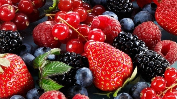 flavonoides flavonoides