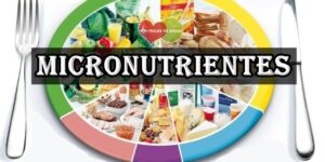 micronutrientes