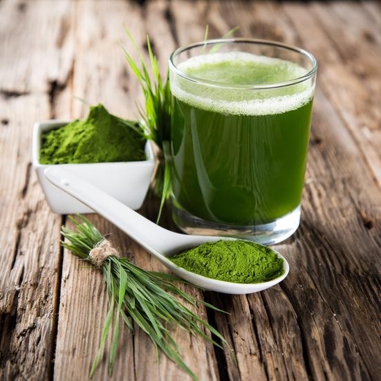 10 benefícios das algas verde-azuladas para saúde! | Dicas de Saúde