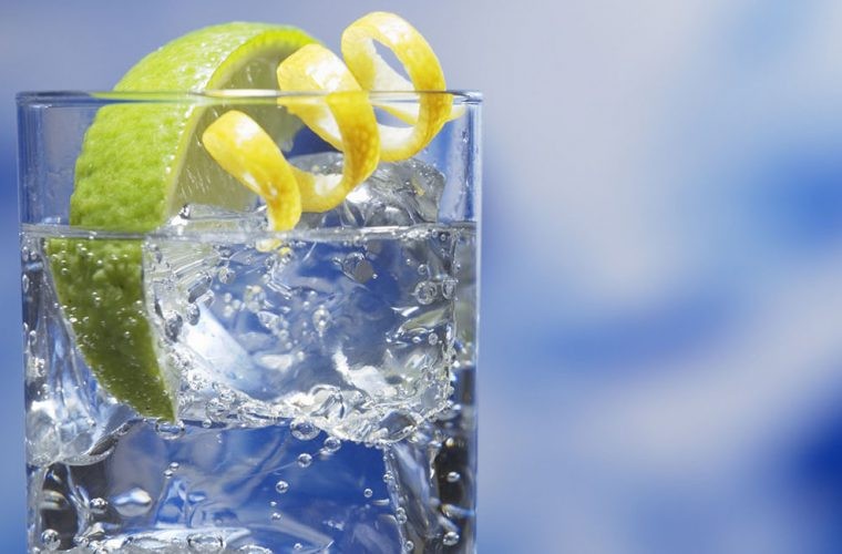 Benefícios do Gin Benefícios do Gin