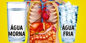 beneficios da agua morna para acelerar o metabolismo