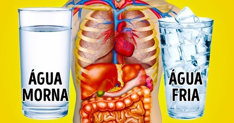 beneficios da agua morna para acelerar o metabolismo