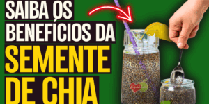 Semente de chia